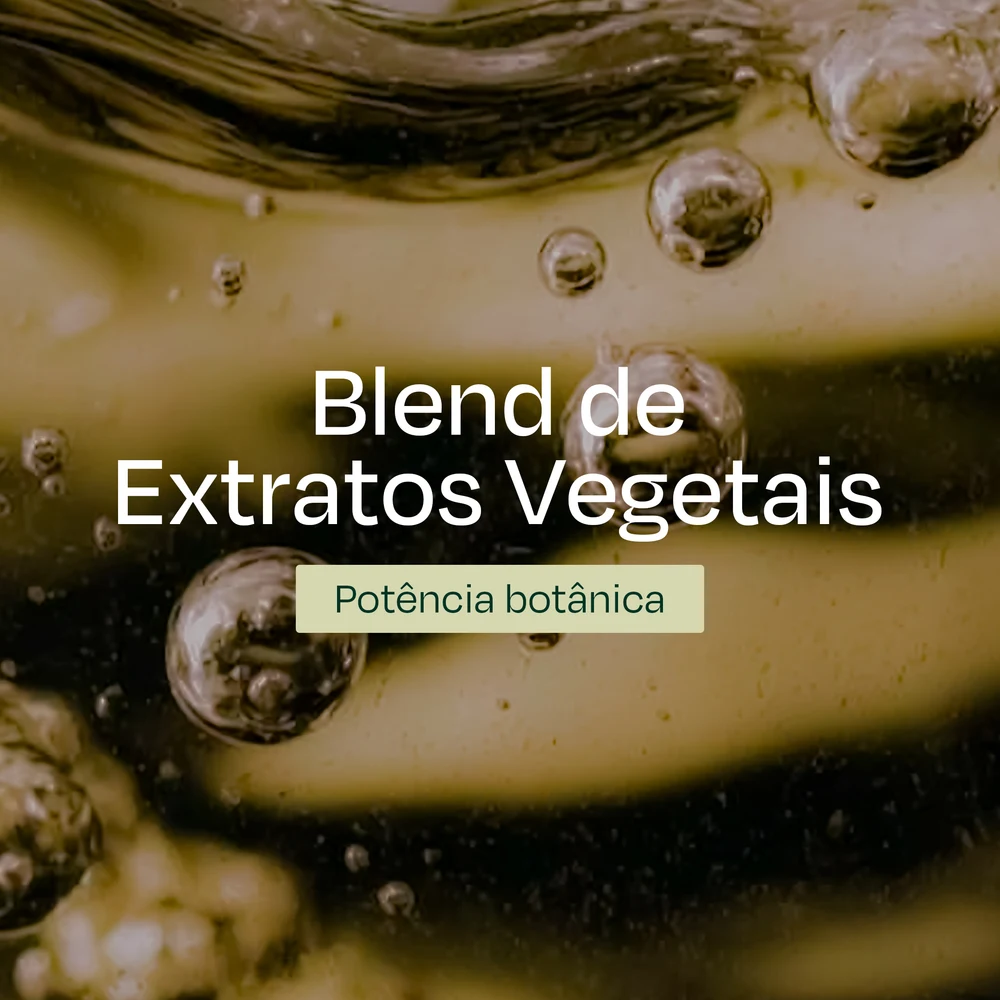 Blend de Extratos Vegetais — arte de ingredientes Flora+ fornecida pela AVOZON